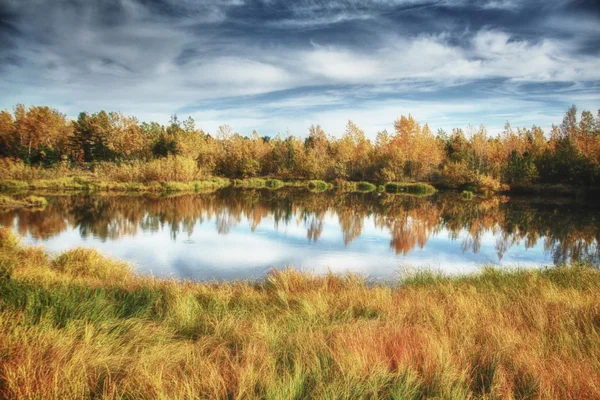 Stock image Fall landscape