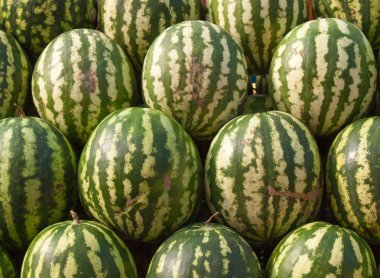 Watermelons (background, closeup) clipart