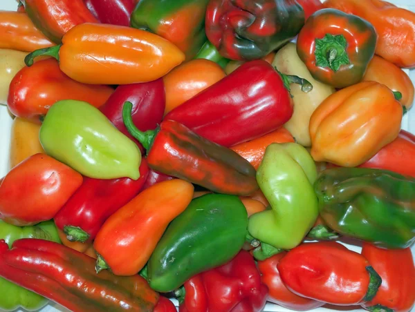 stock image Bright bulgarian pepper