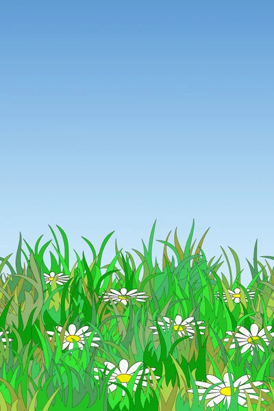 Hintergrund Sommerwiese — Stockvektor