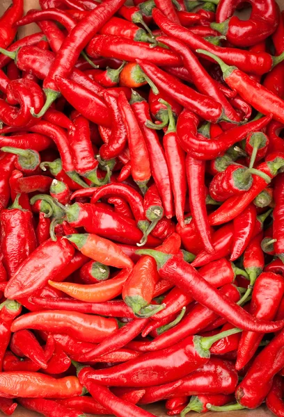 stock image Red pepper