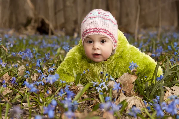 Girls are picking up bluebells and are putting them into the bas — Stock Photo, Image