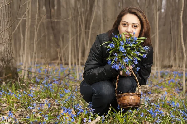 Una chica joven con un montón de campanas azules en el bosque de primavera — Foto de Stock
