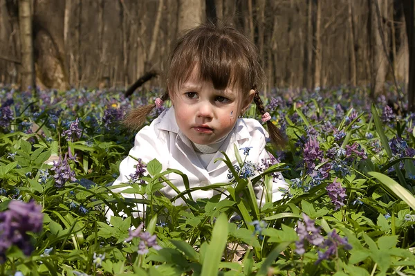 Dziewczyna wśród kolorowych kwiatów w lesie, wiosna — Zdjęcie stockowe