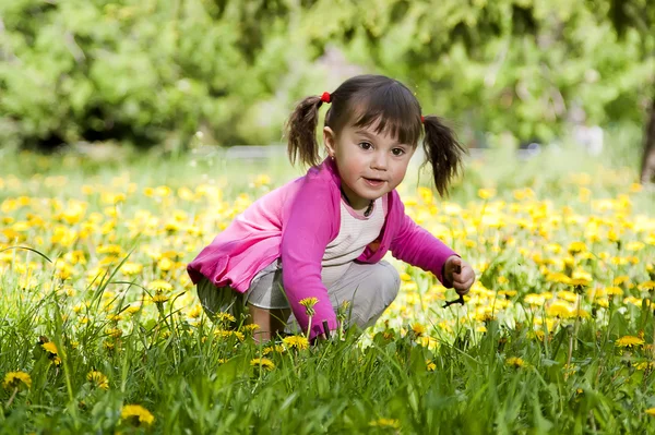 A little girl wearing a pink shirt, sitting on the dandelion fie — Stock Photo, Image