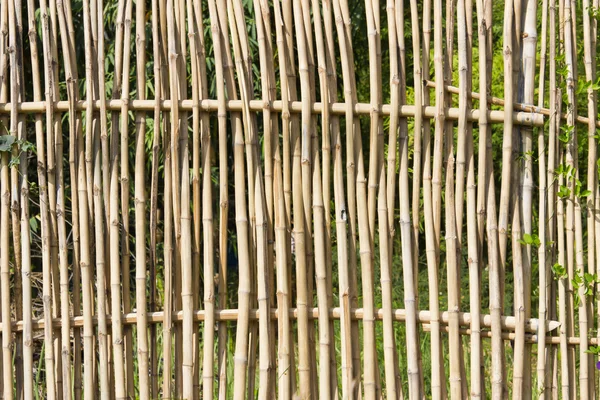 Bambustaket. — Stockfoto