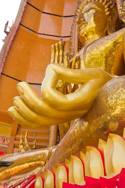 Mano di Buddha . — Foto Stock