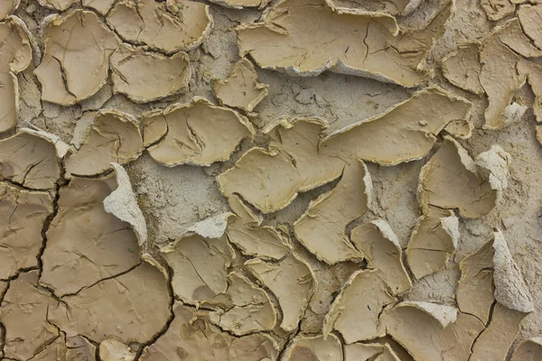 乾燥した土壌ロール. — ストック写真