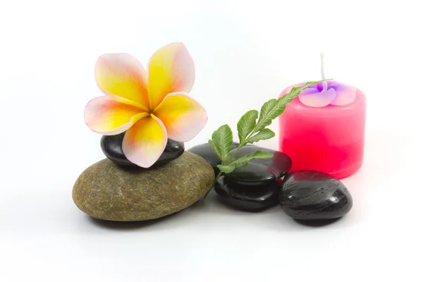 Spa stones and Frangipani flower — Stock Photo, Image