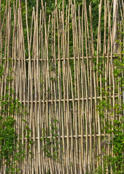 Recinzioni di bambù — Foto Stock