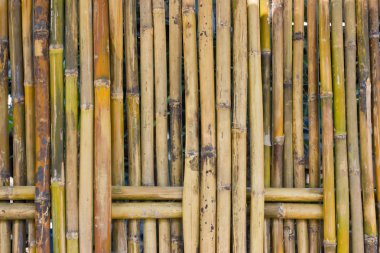 Bamboo fence. clipart