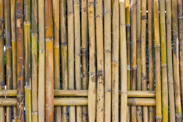 Bambusový plot. — Stock fotografie