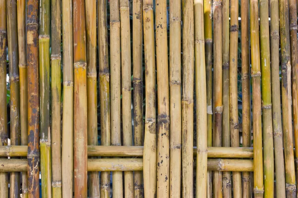 stock image Bamboo fence.