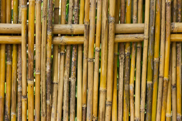 Cerca de bambu — Fotografia de Stock