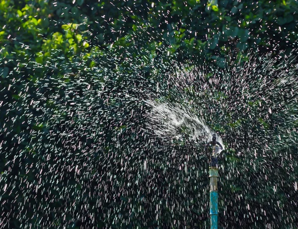 Water from sprinkler — Stock Photo, Image