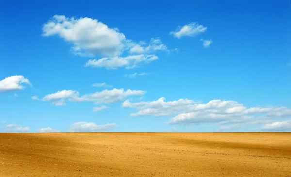 Campo pulito con cielo blu — Foto Stock
