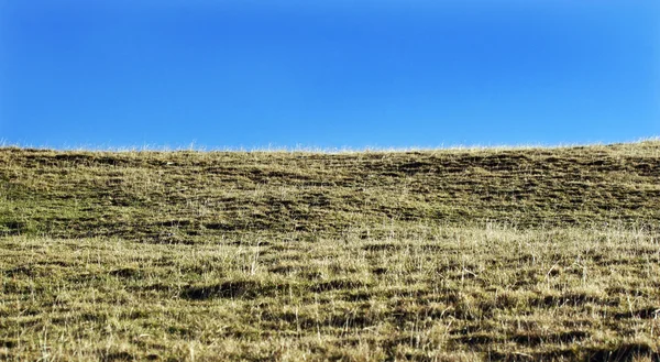 stock image Mountain meadow