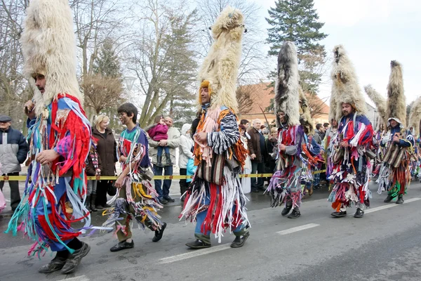 stock image Carnival in Velika Gorica - Topics Ringers 4