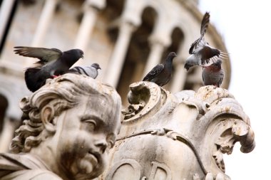 Group of pigeons on the statue clipart