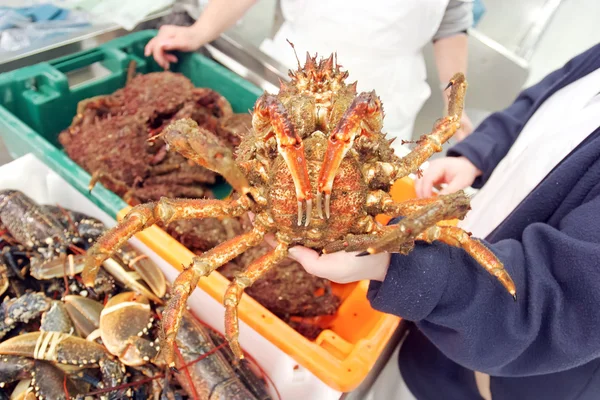 Crab on the market — Stock Photo, Image