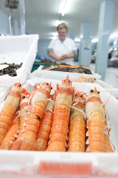 Shrimp in the fish market — Stock Photo, Image