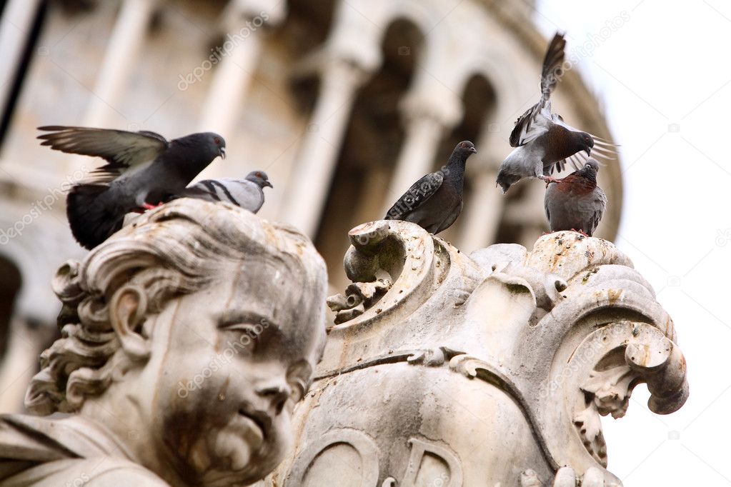 Group of pigeons on the statue