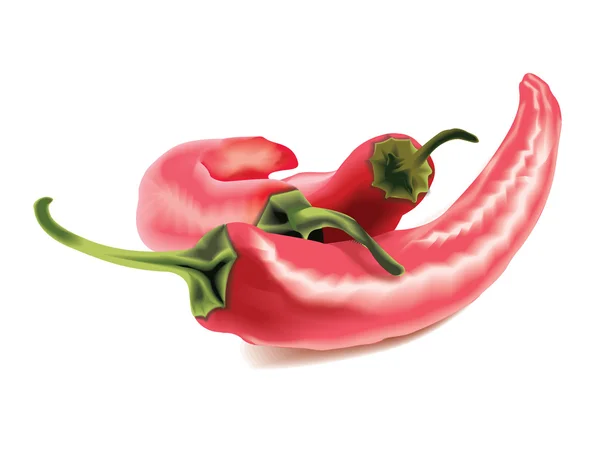 Conjunto de pimentas frescas - Vector clip-art —  Vetores de Stock