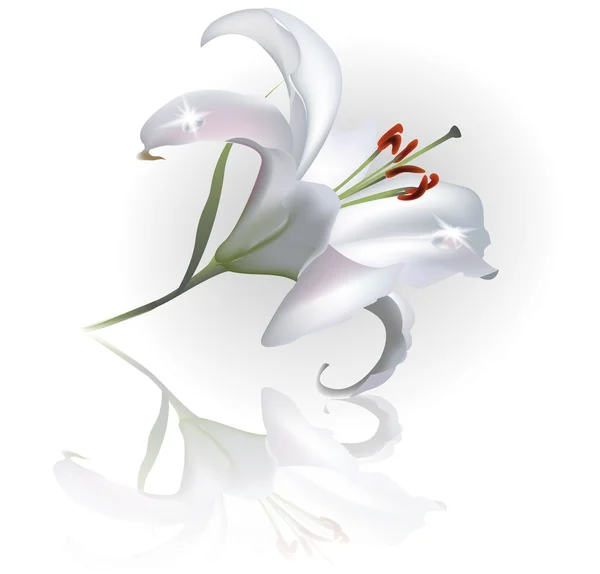 Векторный натуралистический цветочный фон — стоковый вектор
