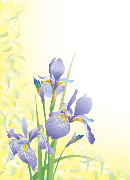 L'image de fleur — Image vectorielle