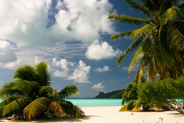 Playa tropical infinita en Maupiti, Polinesia Francesa, Islas de la Sociedad — Foto de Stock