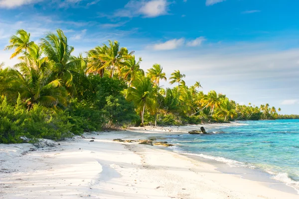 Fakarava pięknej plaży, Polinezja Francuska Zdjęcia Stockowe bez tantiem