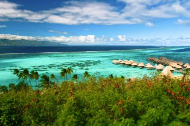 Landscape of paradise island Moorea, French Polynesia clipart