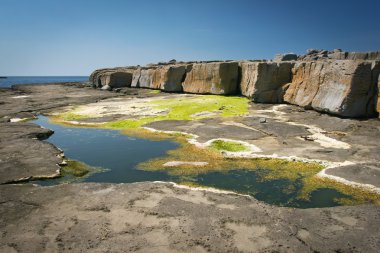 Rocky coast, Galway, Ireland clipart