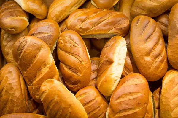 stock image Variety of bread