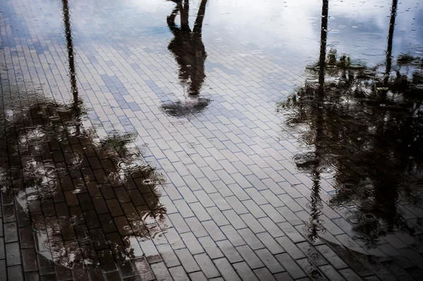 stock image Couple with umbrella walking in reflection