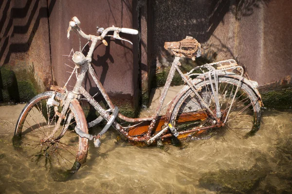Drowned rusty bicyclegg — Stock Photo, Image