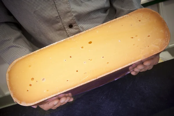 Mann hält großen Gouda-Käse in der Hand — Stockfoto