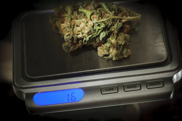 Weed marijuana skala Stockbild