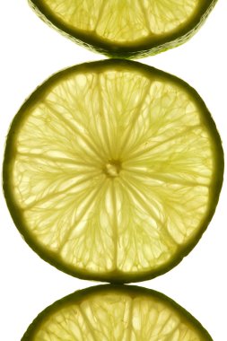 Macro shot of a slice of lime in transmitted light