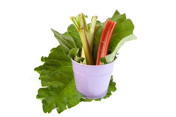 Rhubarb stalks in a pink metal bucket — Stock Photo, Image
