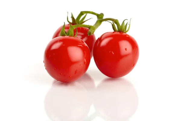 Three fresh cocktail tomatoes mirrored and covered with water droplets — Stock Photo, Image
