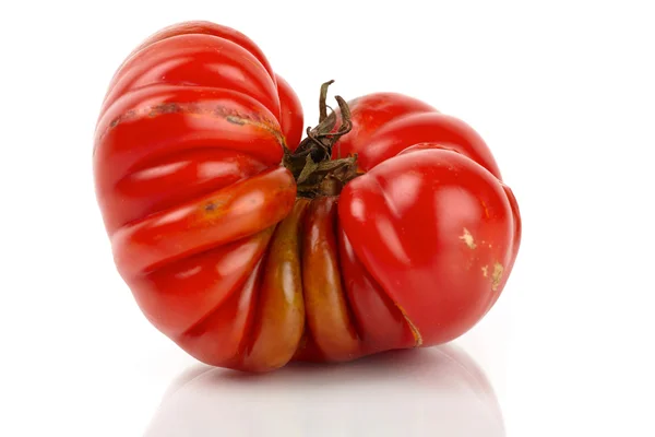 Espejo de tomate gigante rojo grande beefsteak delante de fondo blanco — Foto de Stock