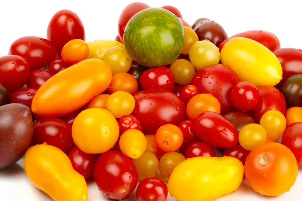 Bando colorido de diferentes variedades de tomates orgânicos em uma colheita — Fotografia de Stock