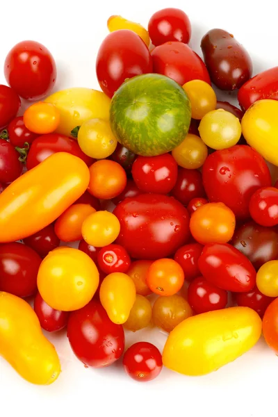 Барвистий букет різних сортів органічних помідорів в урожай — стокове фото