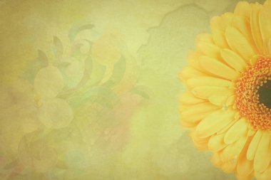 Daisy flowers Vintage background clipart