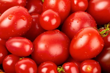 Fresh organic tomato with water droplets clipart