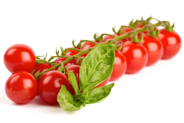Tomates cereja isolados sobre fundo branco — Fotografia de Stock
