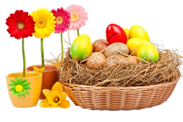 Margaritas en la maceta y huevos de Pascua en la canasta — Foto de Stock