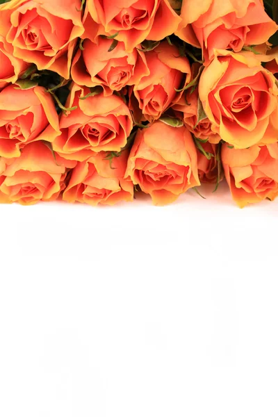 Wonderful Rose Bouquet — Stock Photo, Image