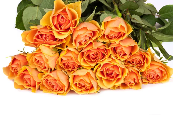 En vacker bukett av rosor — Stockfoto